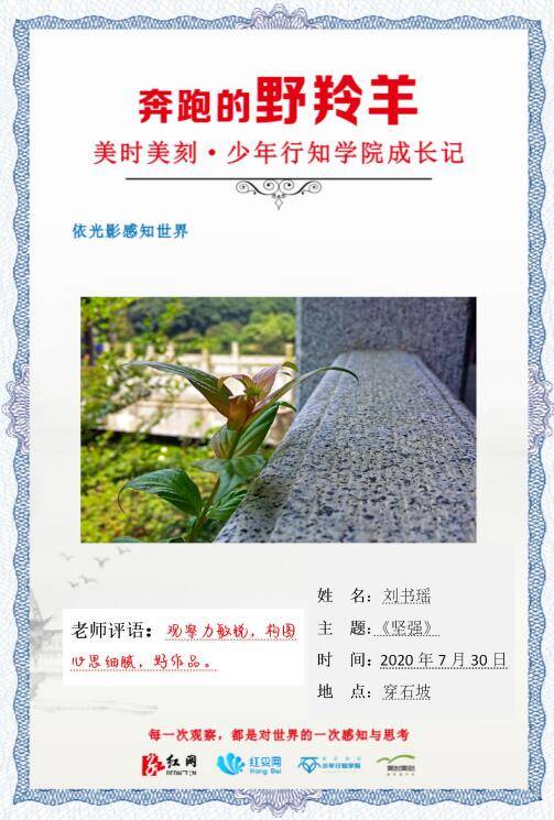 山在|【野羚羊成长记3】穿石坡湖：山在湖心如黛簇，沉醉青山不知归