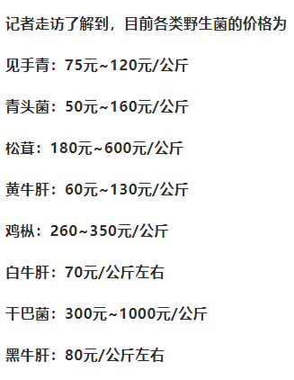 毒蘑菇简谱_毒蘑菇图片大全(2)