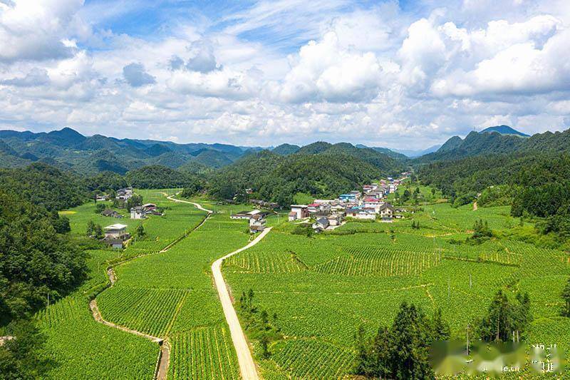 湖北鹤峰:乡村盛夏田园风光美