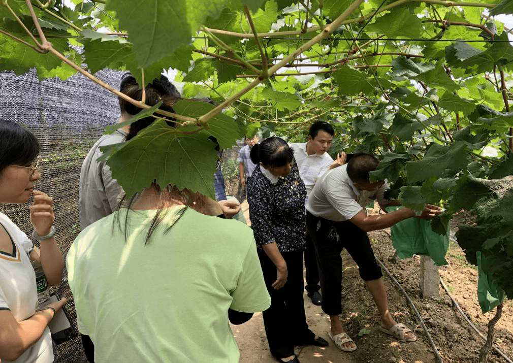 赵巷镇2019经济总量_赵巷镇地图(3)