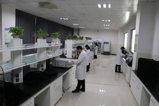 2020年喀什大学专业_校园新闻丨喀什大学召开党委理论学习中心组2020年