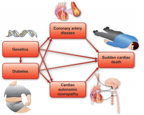 研究|糖尿病是猝死“黑手”!丹麦研究