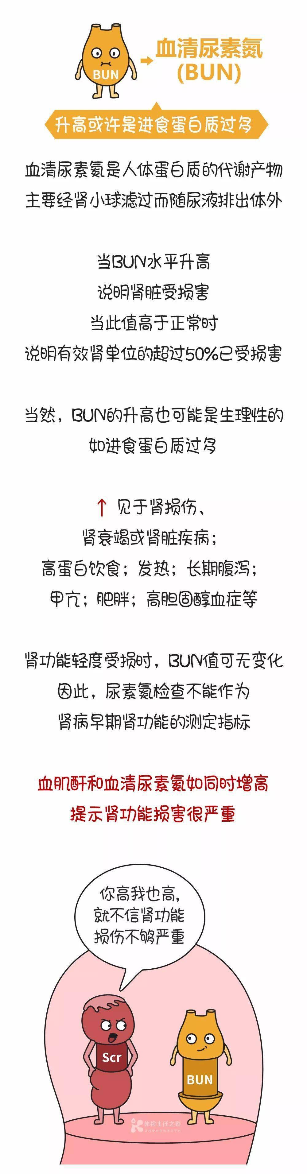 肾脏|肾功能指标主要看肌酐？错了！