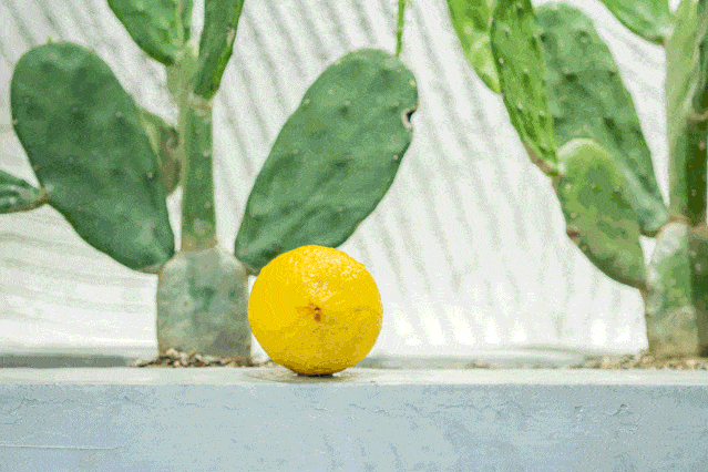 3735f9fa43fe4c2ca875dfad904acef7.gif