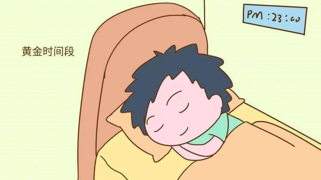 生长激素的分泌与什么有关 b6d77afcfd344d3786d769ae342ebfbf.jpeg