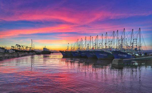 黑格|“黑格比”逼近，浙江渔船开渔一天后回港、移场避风