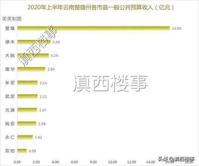武定县2020年GDP_武定县东坡乡图片