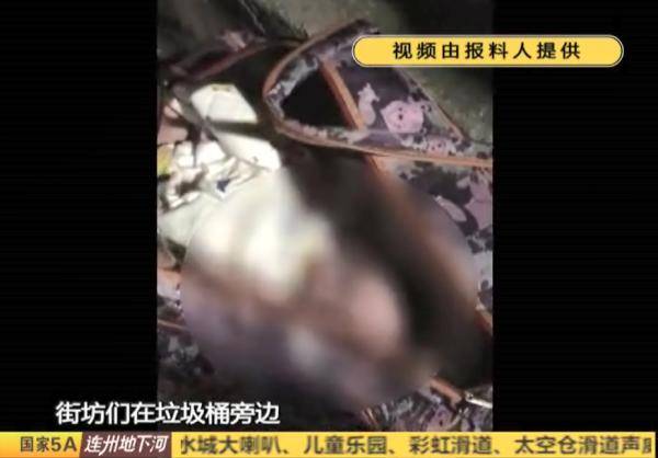 父母|“爸爸妈妈不要你了”……男子深夜扔垃圾发现一名弃婴