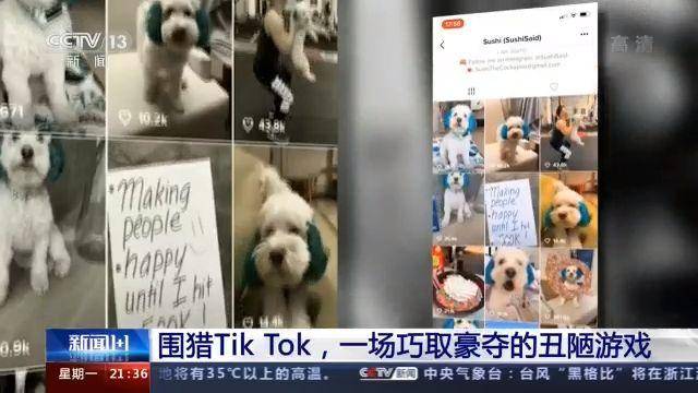 围猎TikTok，一场巧取豪夺的丑陋游戏