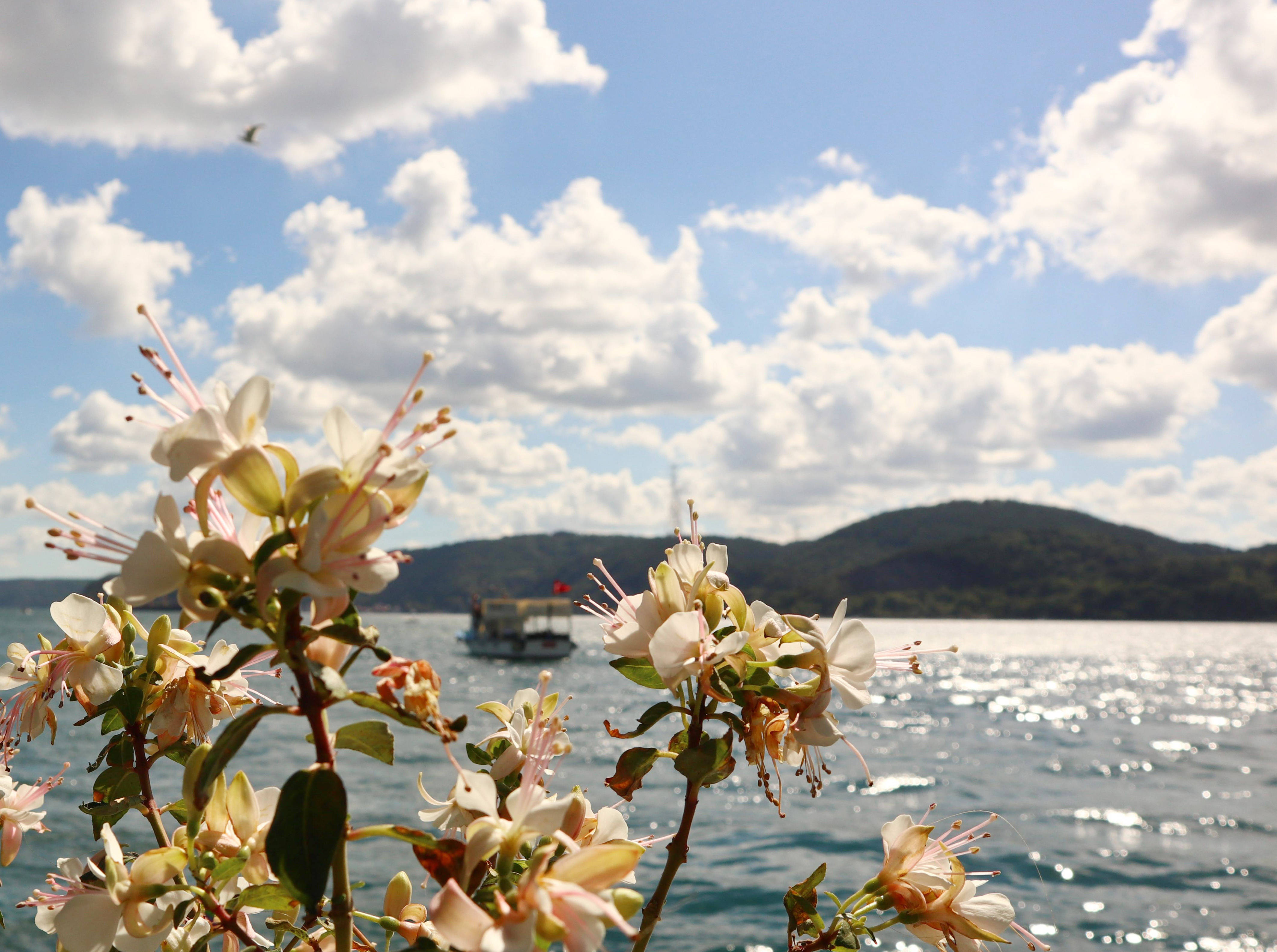 飞扬|伊斯坦布尔：夏日海滨 云朵飞扬