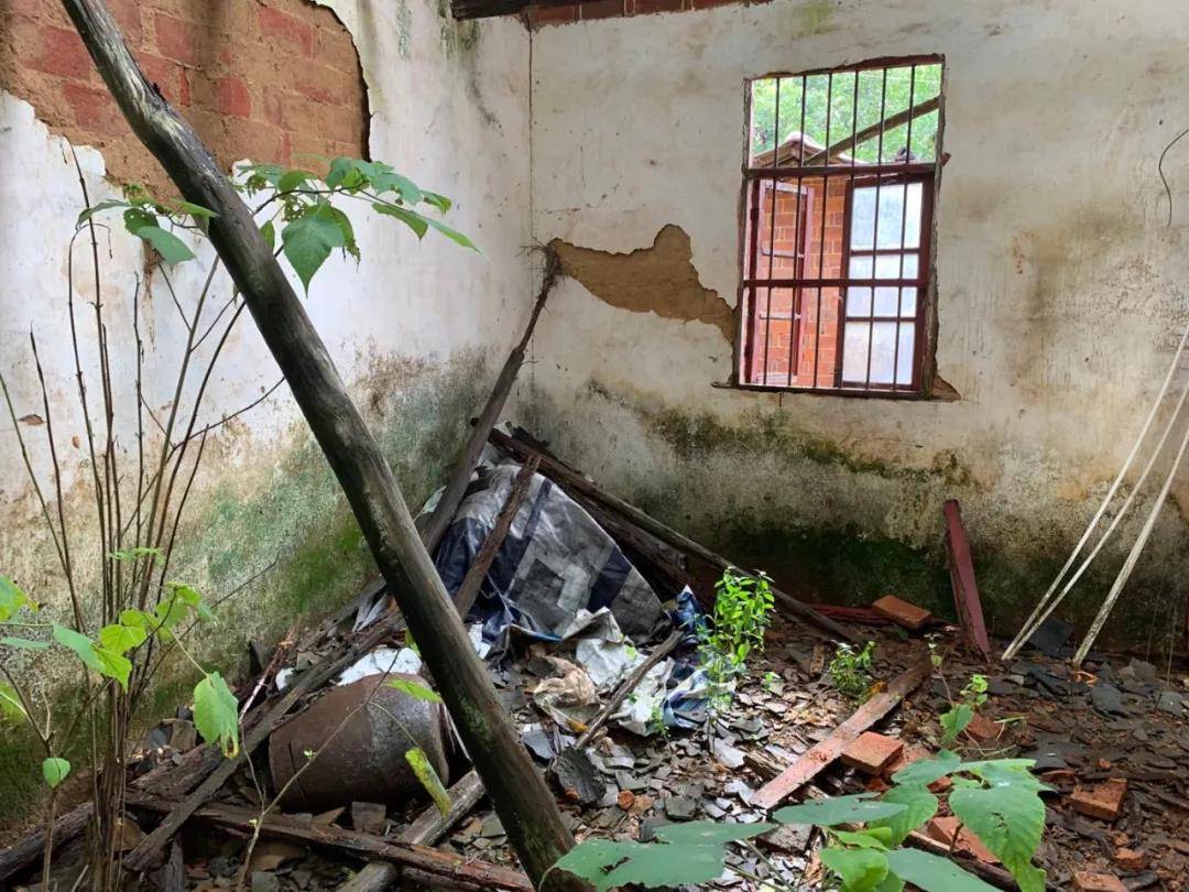 时间|被羁押9778天后，张玉环无罪释放