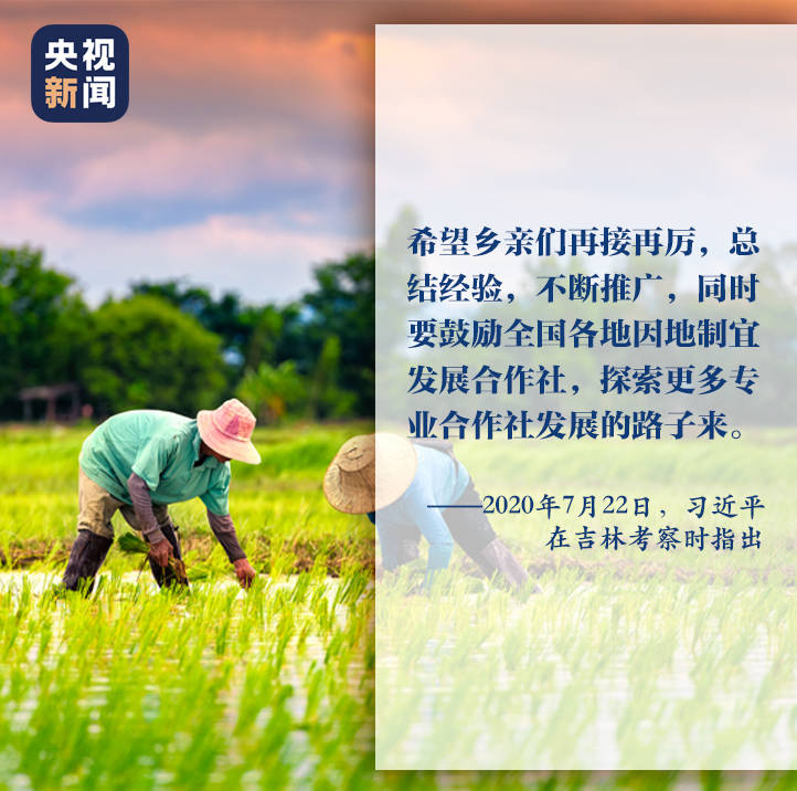 a91410cde7eb47e185df8819720d86af.jpeg