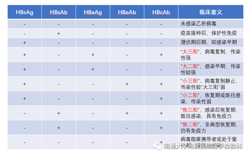 抗原|乙肝病毒两对半，你了解吗？