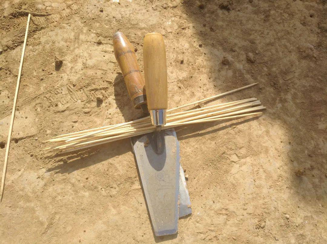 考古|如果再选一次，我还是会把考古当作第一志愿