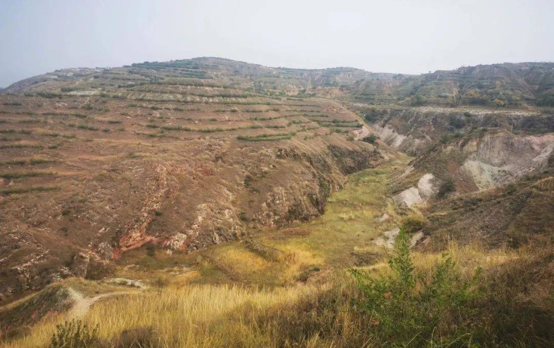 考古|如果再选一次，我还是会把考古当作第一志愿