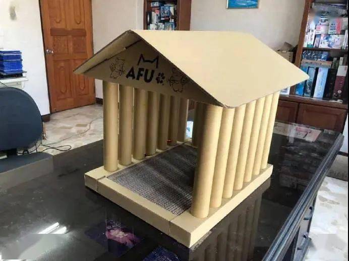 用纸箱给猫做了个美美的猫窝,可惜只存活几秒