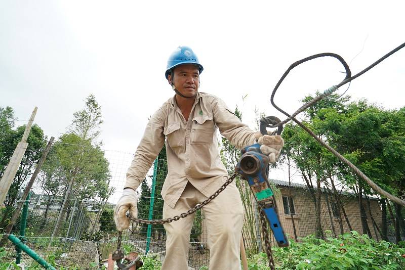 工人|图集｜迎战“黑格比” 电力工人抢修电网为市民送电