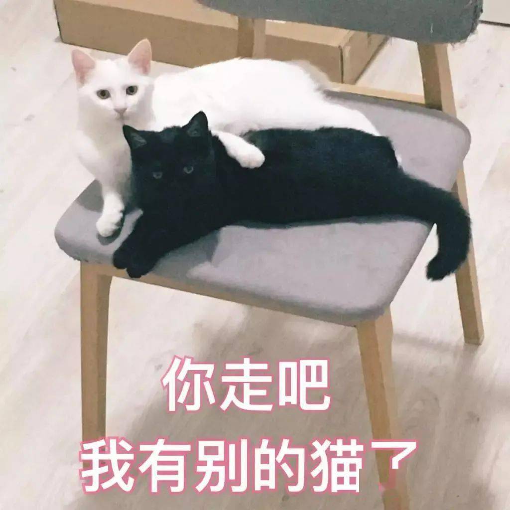 噜噜噜噜啦啦啦啦 ff1d97f1106343ccad45df3ad3ddadc6.jpeg