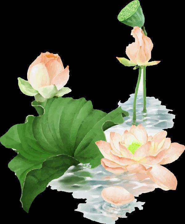 夏渐|海报 | 今日立秋