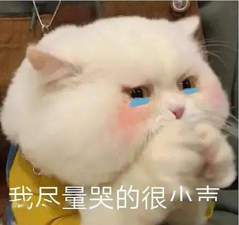 买的|最后悔买的6件东西，分享给大家省钱！