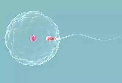 什么样的精子质量才可以怀孕 55380b1adbc44694aac239fd0460b97f.jpeg