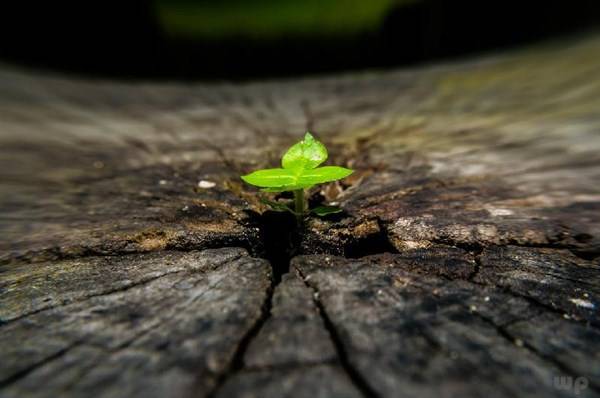 福气|人到中年，做到这几点，福气自然就来了