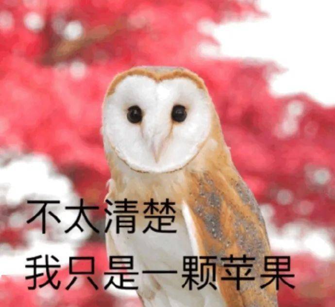 e00b286fb7184f91b6adc3bdb1890f58.jpeg