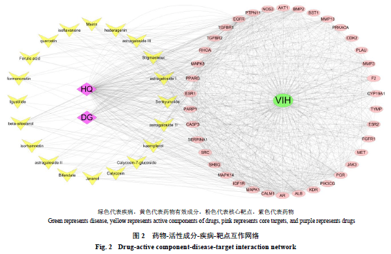 基于网络药理学探讨黄芪-当归配伍活性成分改善血管内膜增生的作用