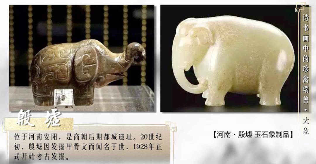 大象|大象：遗双翠，骑象背人先过水