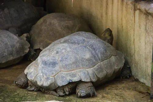 象征|如何戴出手串逼格？这个配饰要选好！
