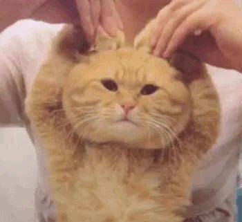 桃仔|整容黑历史都自曝了,景甜真是个狠人啊!