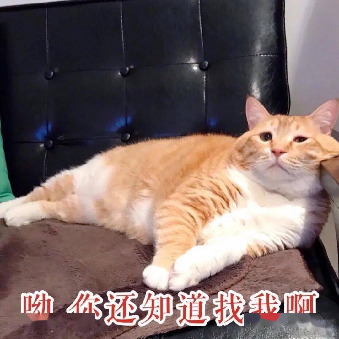 bd1bc6d02f65427589cdf7738e688543.jpeg