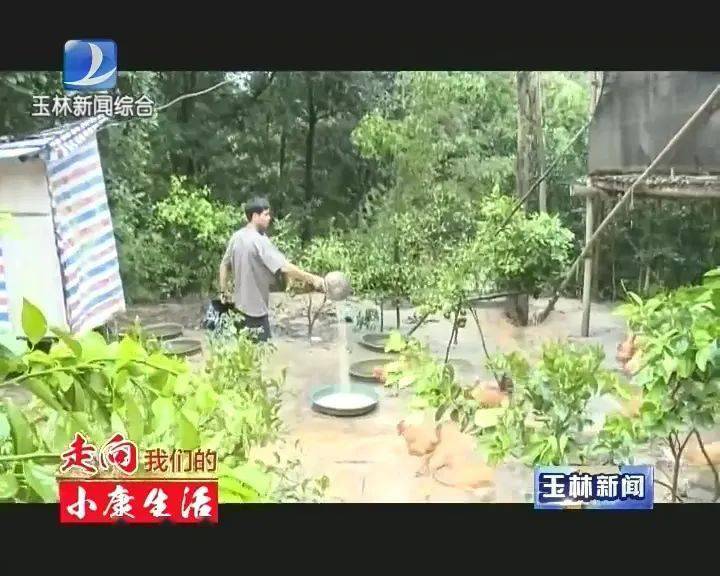 花东四联村人口