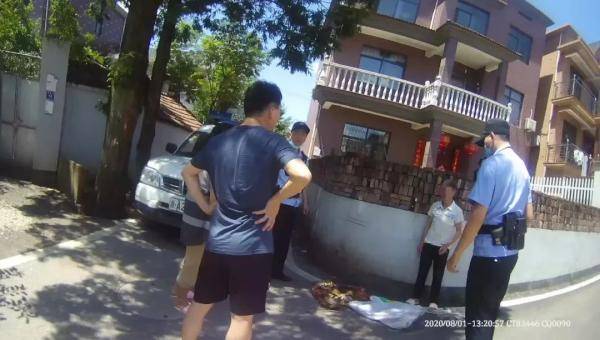 鸡毛|一夜之间16只鸡惨死，“凶手”被查！