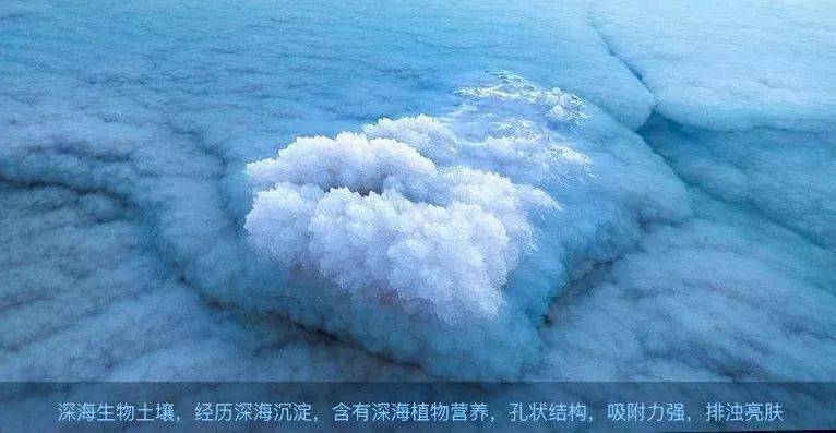 皮肤|买一送一 ！浑身黏腻，用这款海盐沐浴露清爽一“夏”！