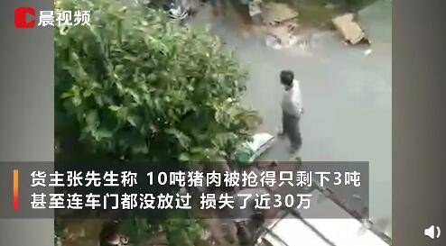 驾驶员|素质掉了一地！货车遇事故10吨猪肉遭哄抢只剩3吨 车主：连车门都没放过