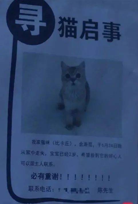 先生|“你是陈屿吗？”男子手机号遭《三十而已》“挪用”，还被注册成林有有微信！号主崩溃：手机被打爆了