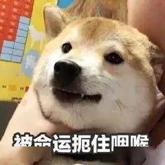 福建|千万别去福医大上学!我劝你