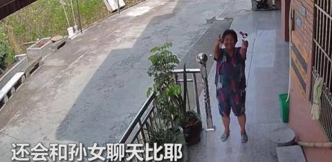 孙女|好暖！奶奶隔着监控和孙女分享日常 ：花花、菜菜和石头