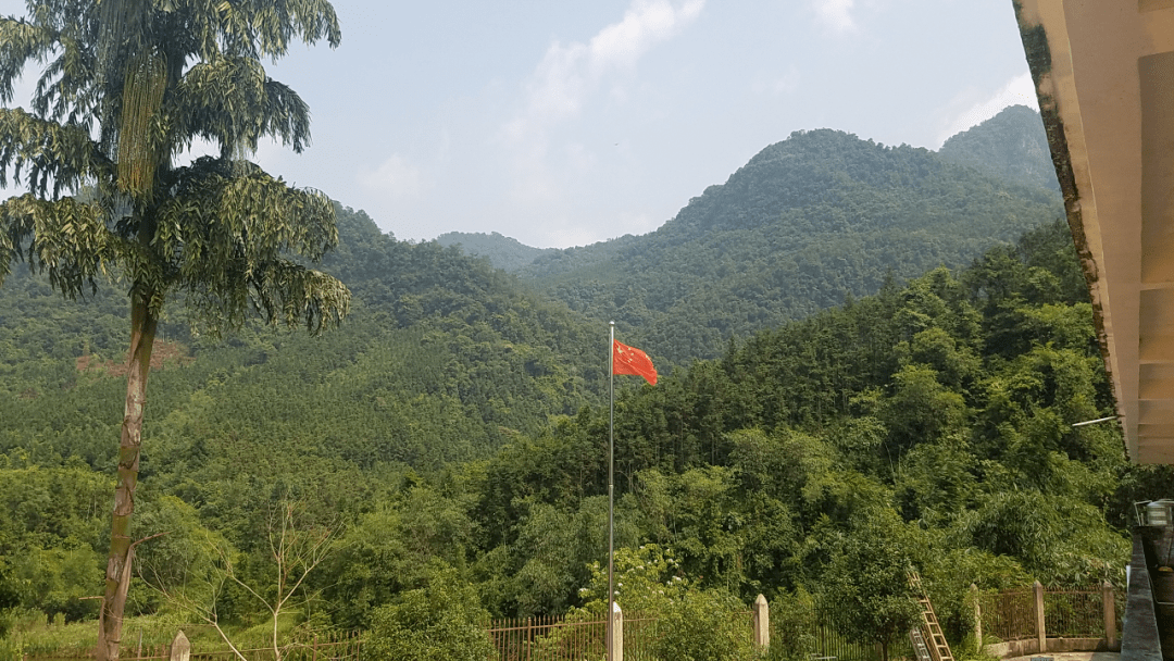 桂平市紫荆镇GDP_桂平市紫荆镇中心小学