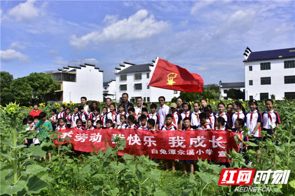 教育|醴陵：分布式体验教育，让学生快乐成长