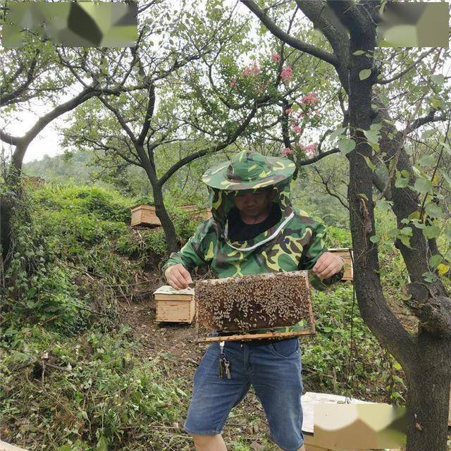 西峡县回车镇经济总量_西峡县双龙镇