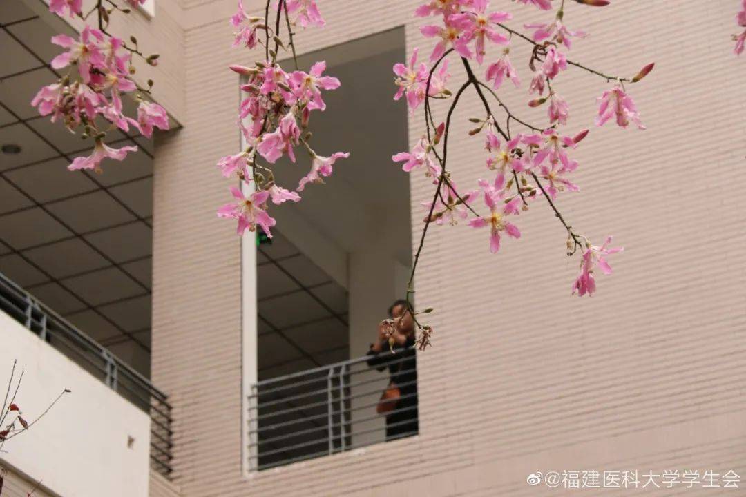 福建|千万别去福医大上学！我劝你