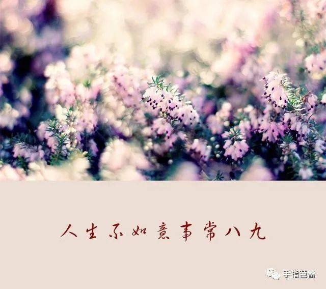 人生,哭着开始,哭着结束,却要笑对生活