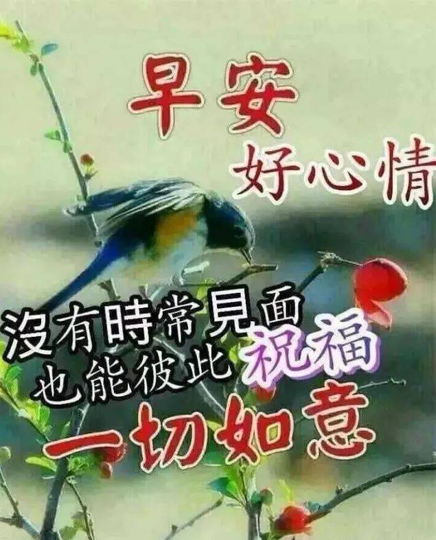 漂亮早上好问候语祝福表情图片 早上好短信祝福语录最新版
