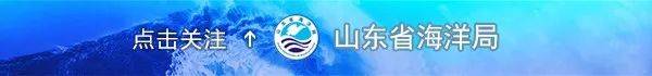 港口|阿里云中标全国首个“智慧港口”山东港口的顶层设计方案