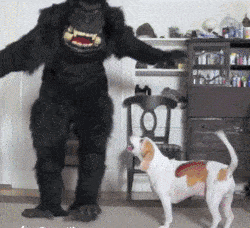 搞笑gif:大师啊,你这是要带妹纸去哪啊_大脸猫