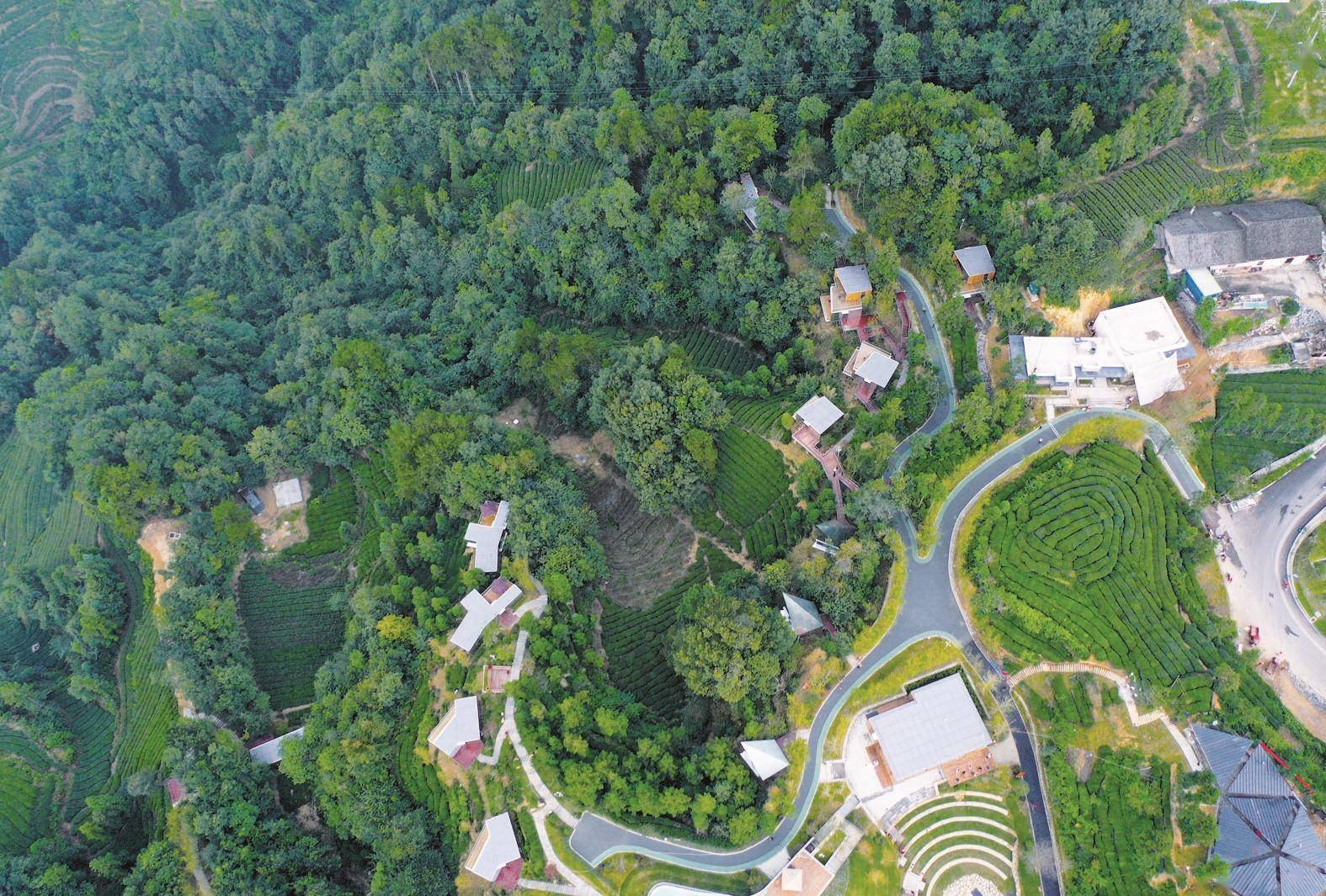 三峡茶旅小镇建成开园 邓村10万亩茶园成茶旅融合景点