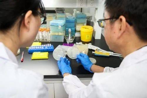 涉案|全国首例干细胞买卖案二审宣判：改判涉案合同无效