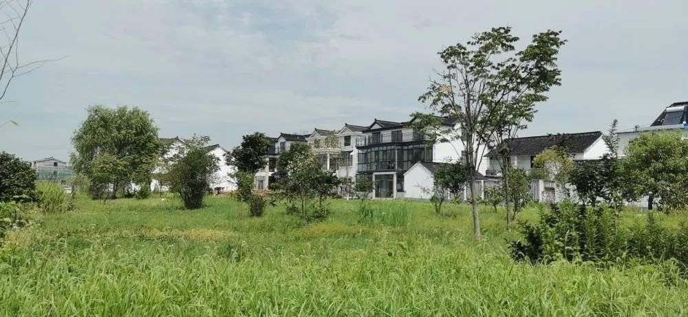 姚村人口_林州姚村下里街图片